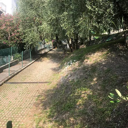 Apartamento La Casa Sul - Olive Tree *