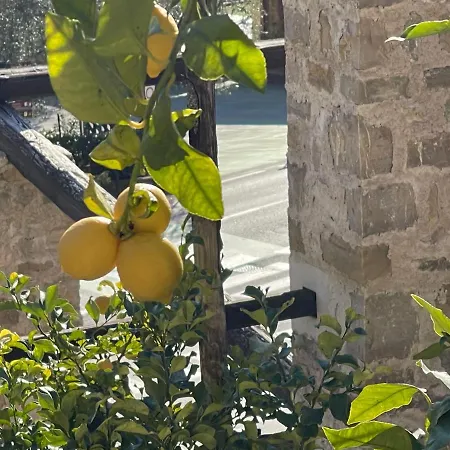 Casa Limone Limone sul Garda