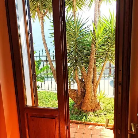 Fior Di Loto Limone sul Garda