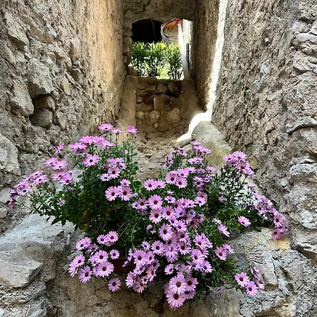 Al Castello Dei Limoni Aparthotel *