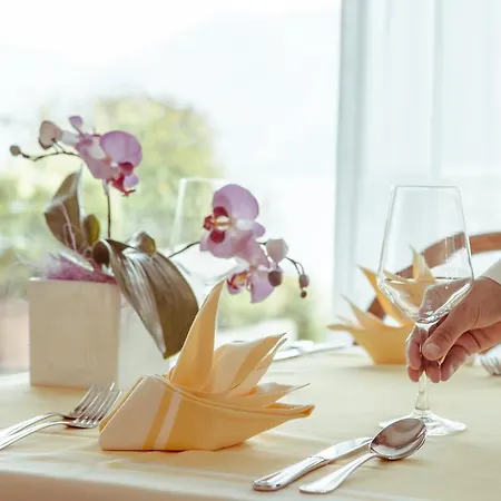 Hotel Ilma Garda