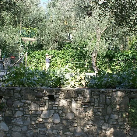 Hotel Riviera Panoramic Limone sul Garda